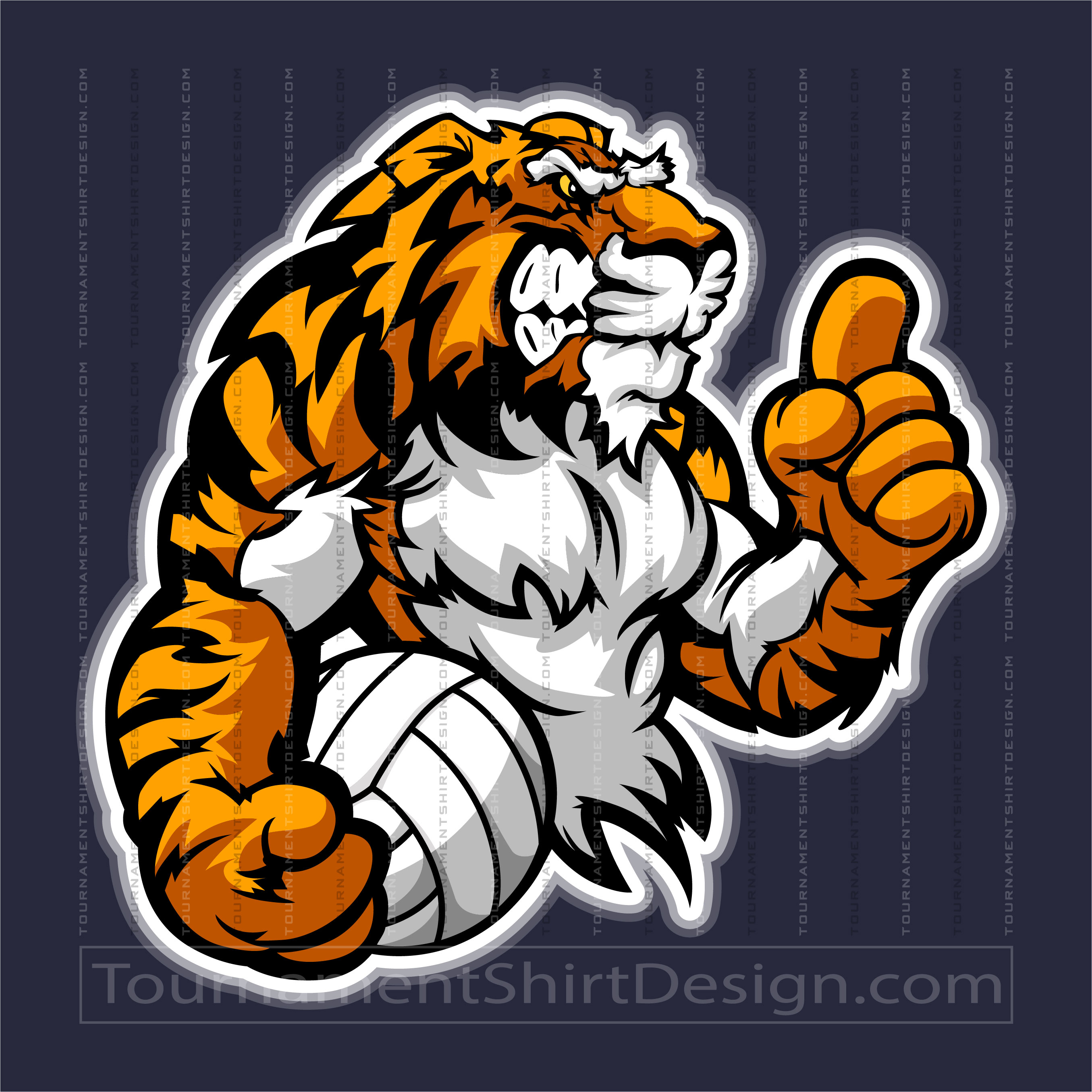 Volleyball Tigers Image